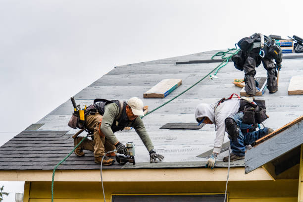 Professional Roof Replacement technician working in Preston Hollow, NY